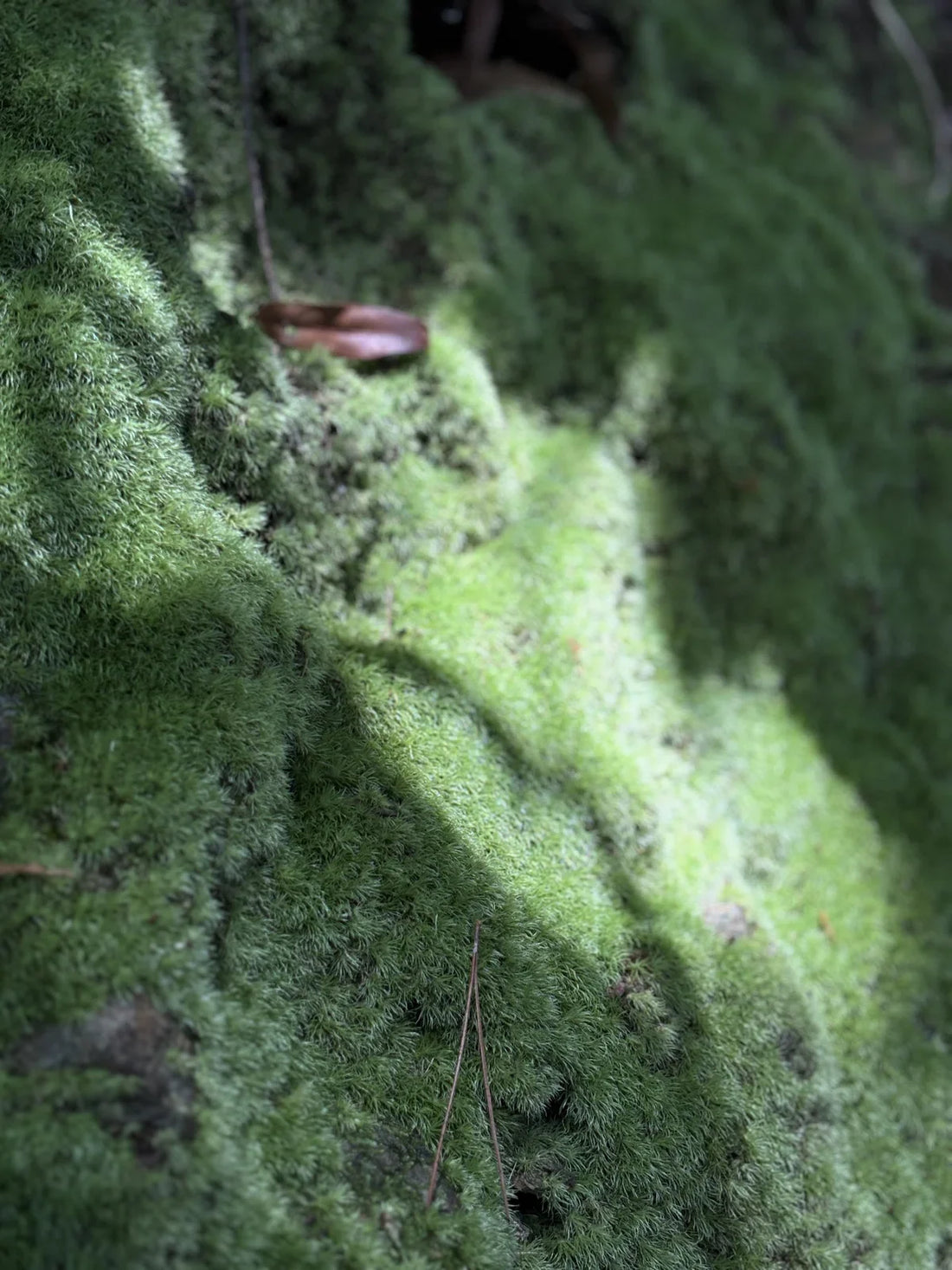 巡る日常を、纏う。